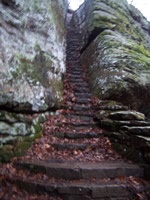 Stairs at Bell Smith Springs