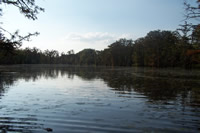 Eagle Pond on the cache river