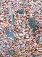 grave site